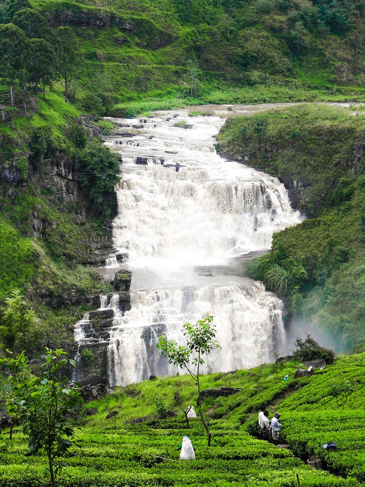 Waterfalls